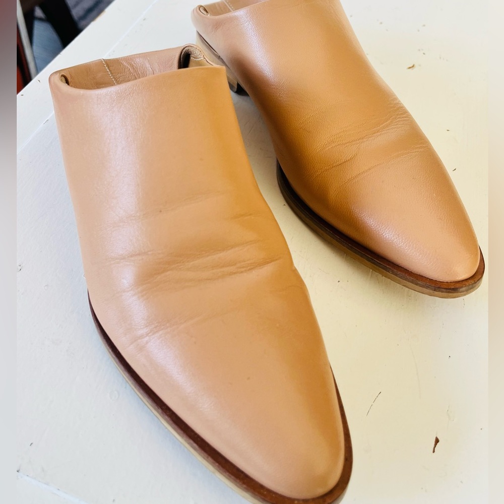Everlane Modern Babo Slides